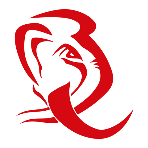 U19 Münster Mammuts