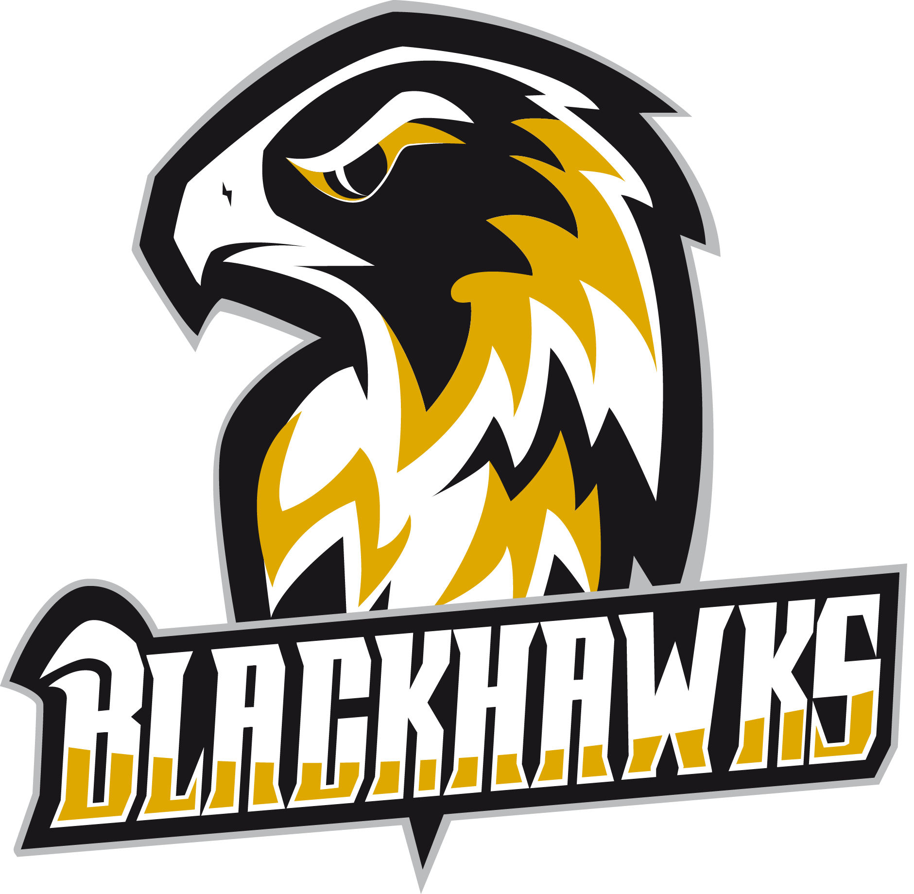 Münster Blackhawks